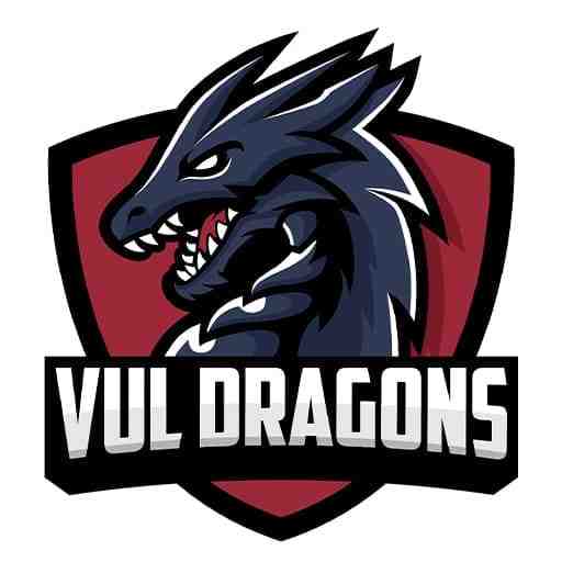 Virginia-Lynchburg Dragons Basketball